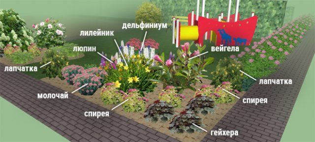 Клумбы непрерывного цветения – схемы с описанием цветов