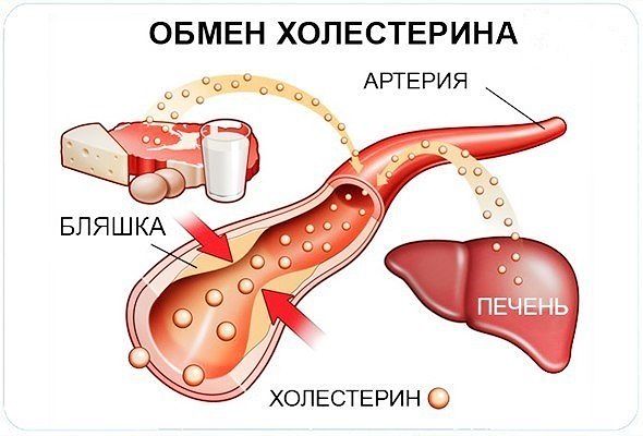 Как легко снизить уровень холестерина народными рецептами!