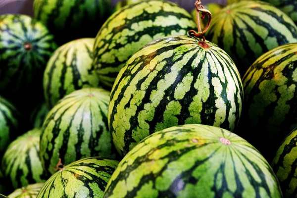 Чем арбузы могут быть опасны для здоровья и даже жизни