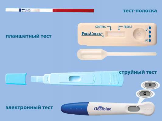 Чтобы тест на беременность был точным: когда и как правильно его делать