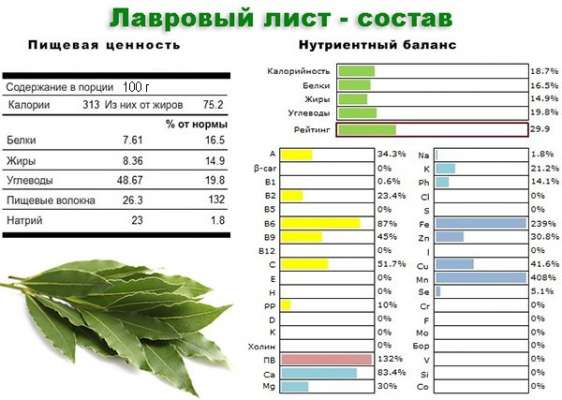 Как действует отвар лаврового листа, если его пить в лечебных целях