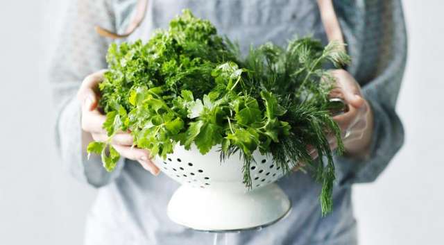 Какие продукты необходимо есть, чтобы стать умнее и улучшить работу мозга