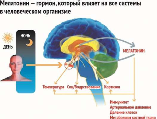 Какой вред приносят организму светодиодные и энергосберегающие лампы