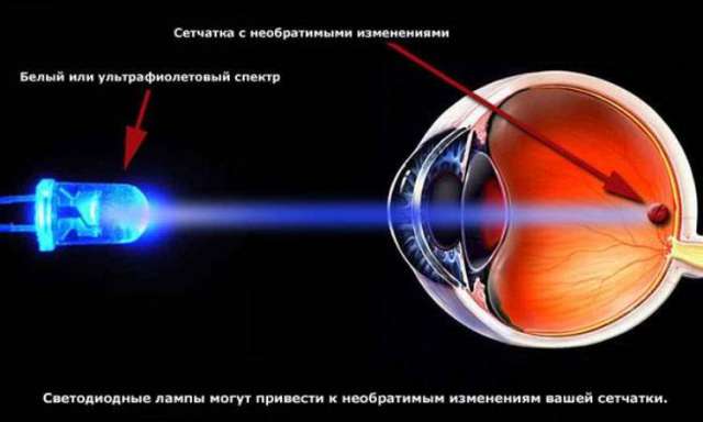 Какой вред приносят организму светодиодные и энергосберегающие лампы