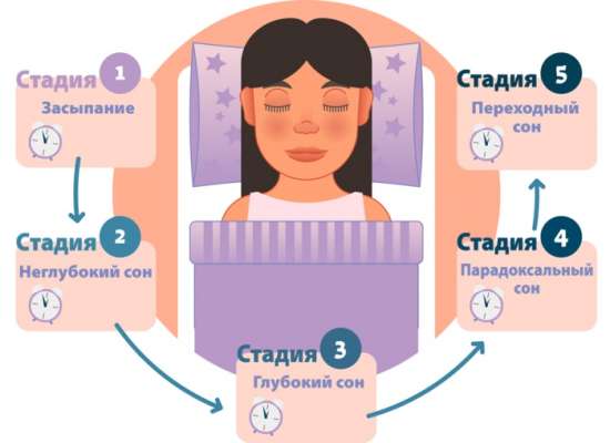 От чего зависит полноценный сон и как улучшить его качество: мифы и советы
