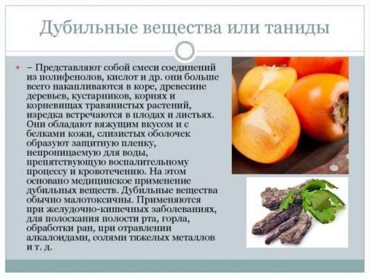 Почему хурма оказывает вяжущее действие и полезно ли это для здоровья