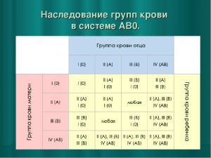 Подсказка врача: как заранее без анализов рассчитать группу крови будущего ребенка